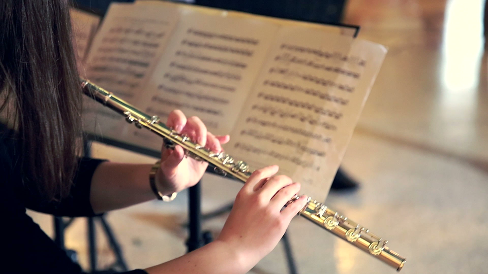 image for Classical Essentials